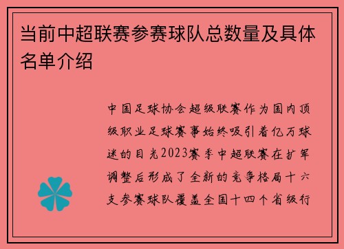 当前中超联赛参赛球队总数量及具体名单介绍